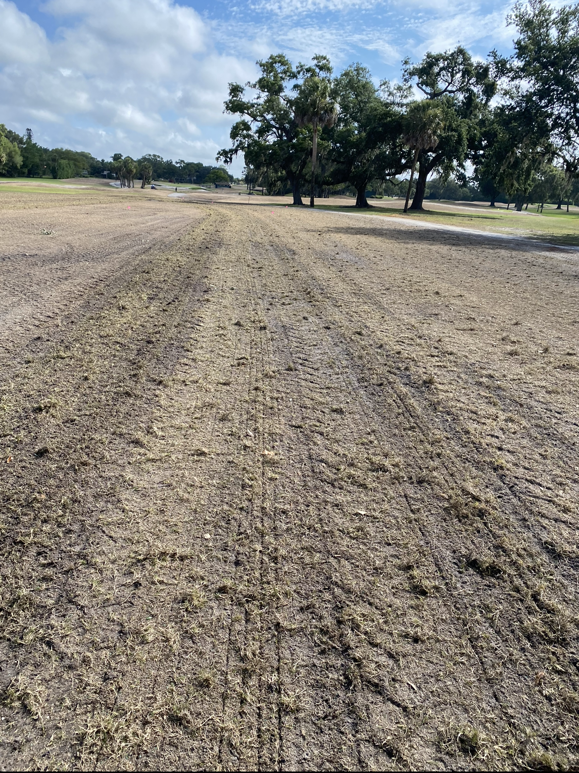 #9 - June 1, 2023 - Fairway Sprigging