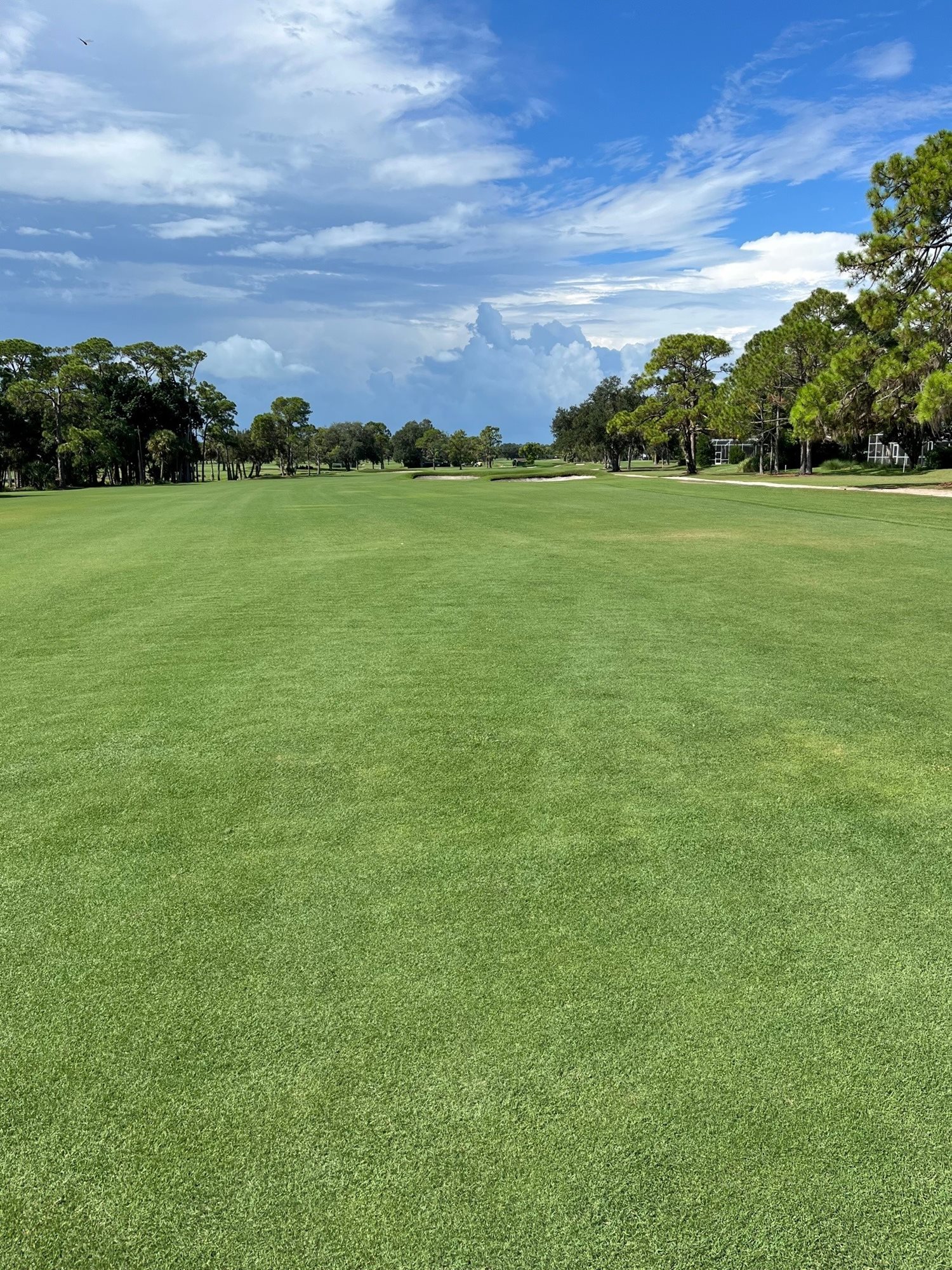 #7 New Forward Tee and New Coquina Path - August 14, 2023