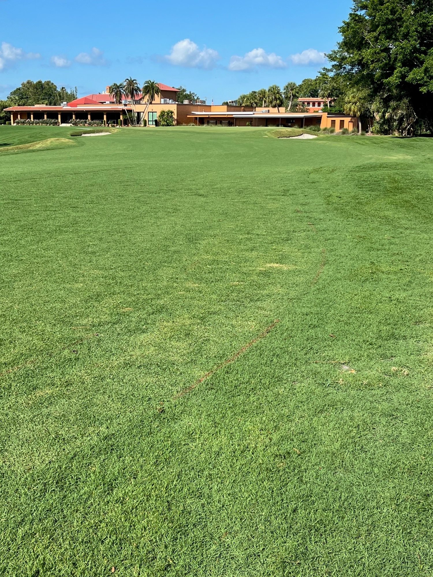 #9 - July 4, 2023 - Fairway - 3rd_Mowing