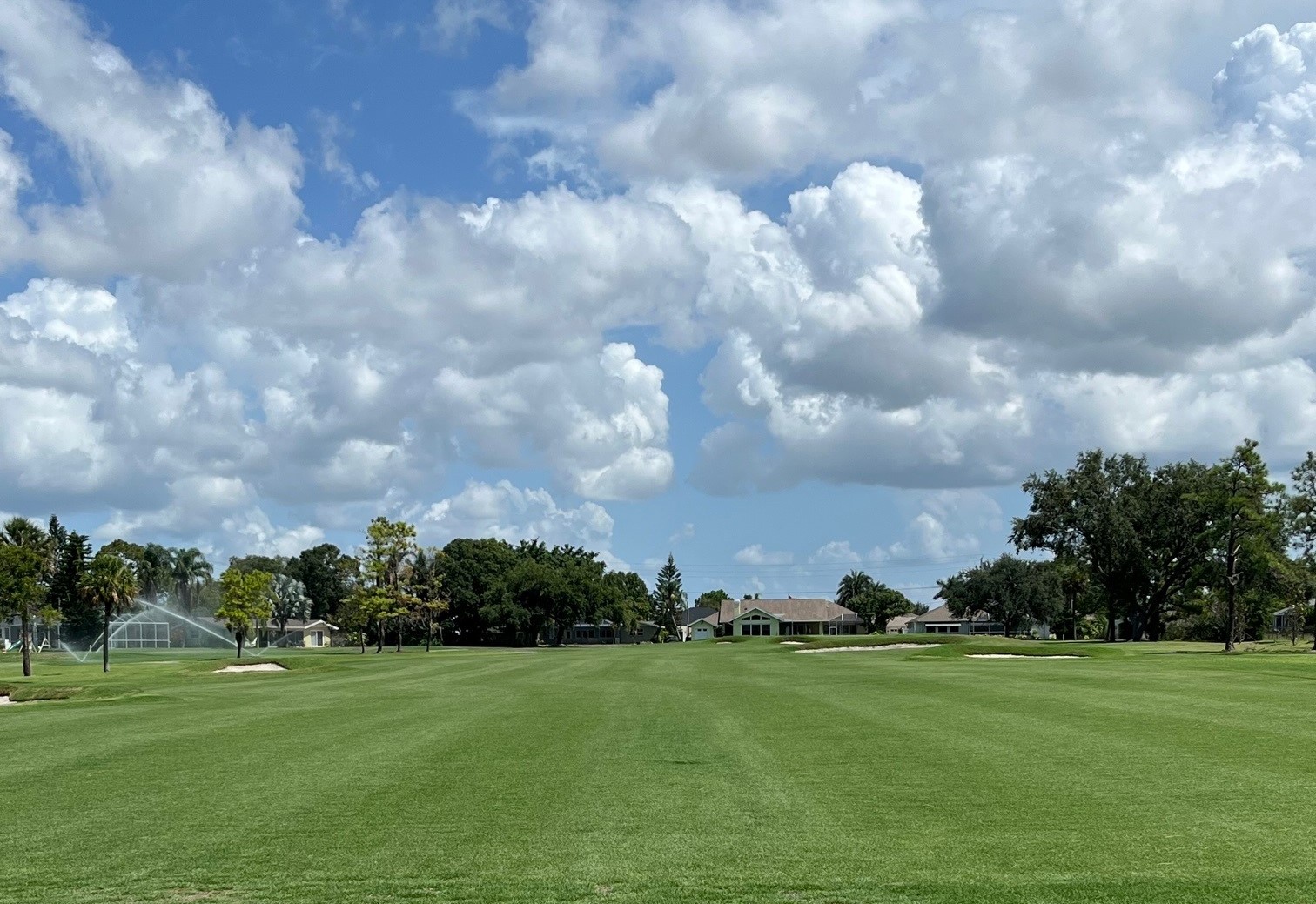 #6 Fairway - July 21, 2023