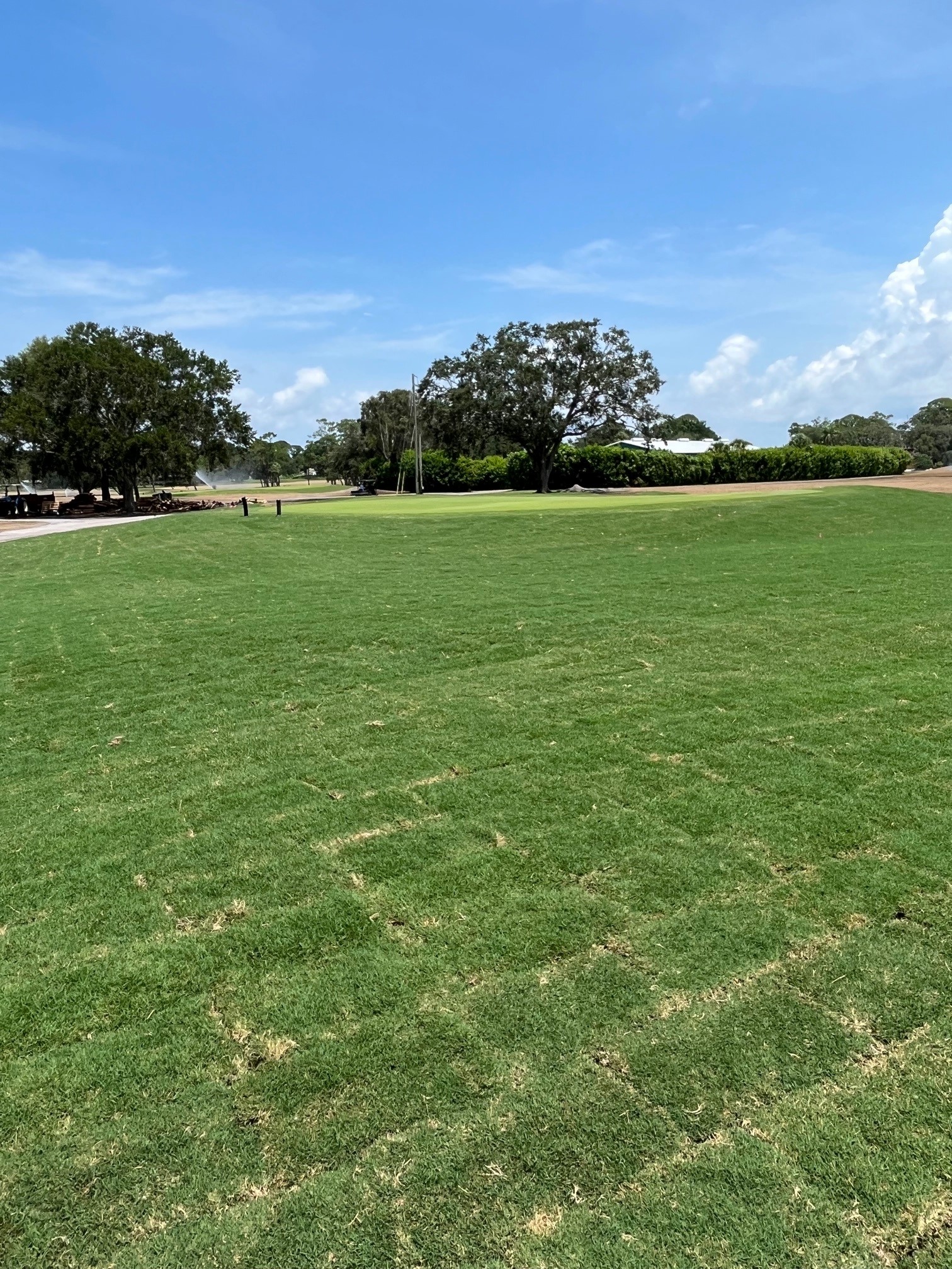 #17 Tee Completed - Spence Restoration