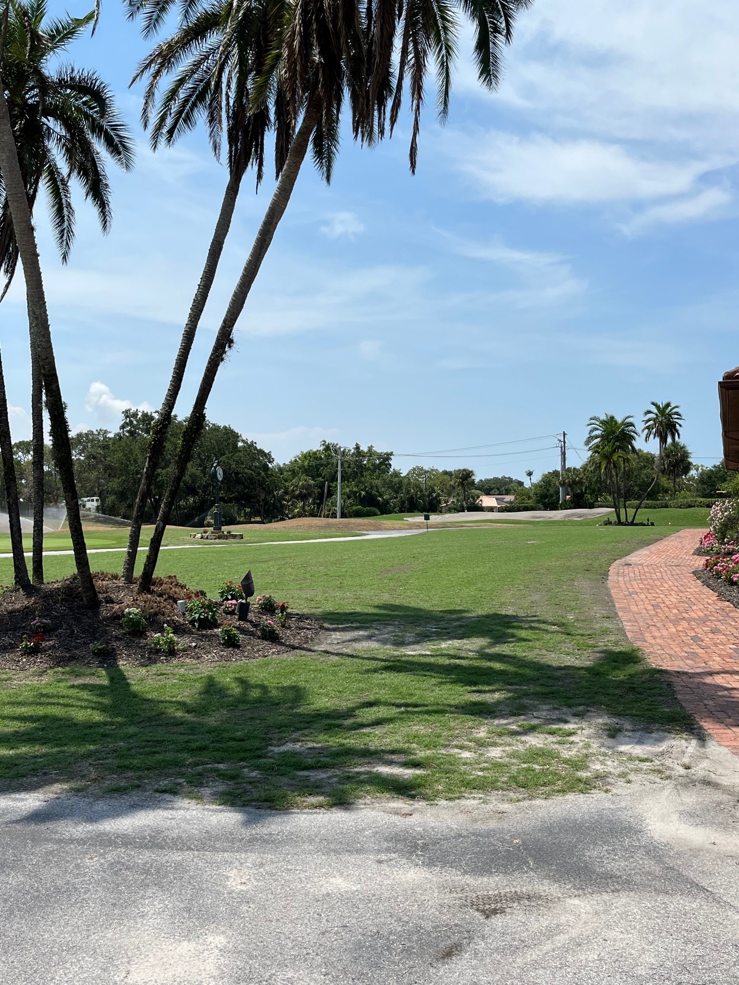 Back Lawn Mowed First Time on June 22, 2023